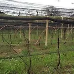 Alloggio per agriturismo Bressani Nimis