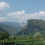 Bressani Nimis