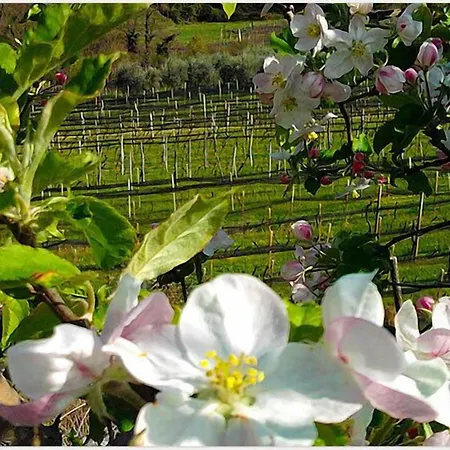 Séjour à la ferme Bressani Nimis