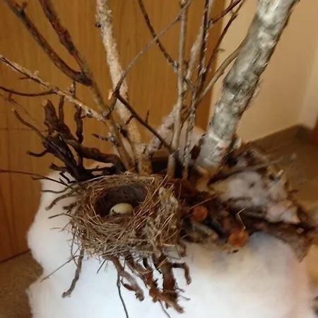 Bressani مزرعة للإقامة Nimis