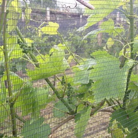 Bressani مزرعة للإقامة *