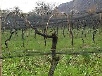 Bressani Κατάλυμα σε φάρμα