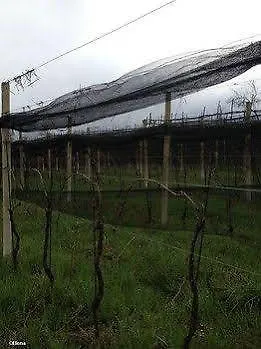 Vakantieboerderij Bressani