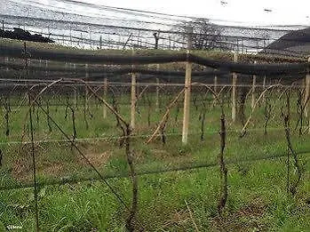 مزرعة للإقامة Bressani Nimis