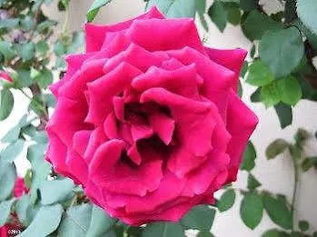 Κατάλυμα σε φάρμα Bressani