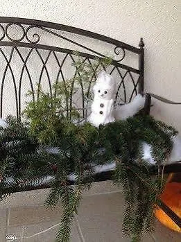 Κατάλυμα σε φάρμα Bressani Nimis