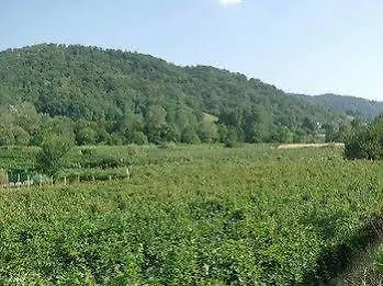 Κατάλυμα σε φάρμα Bressani Nimis